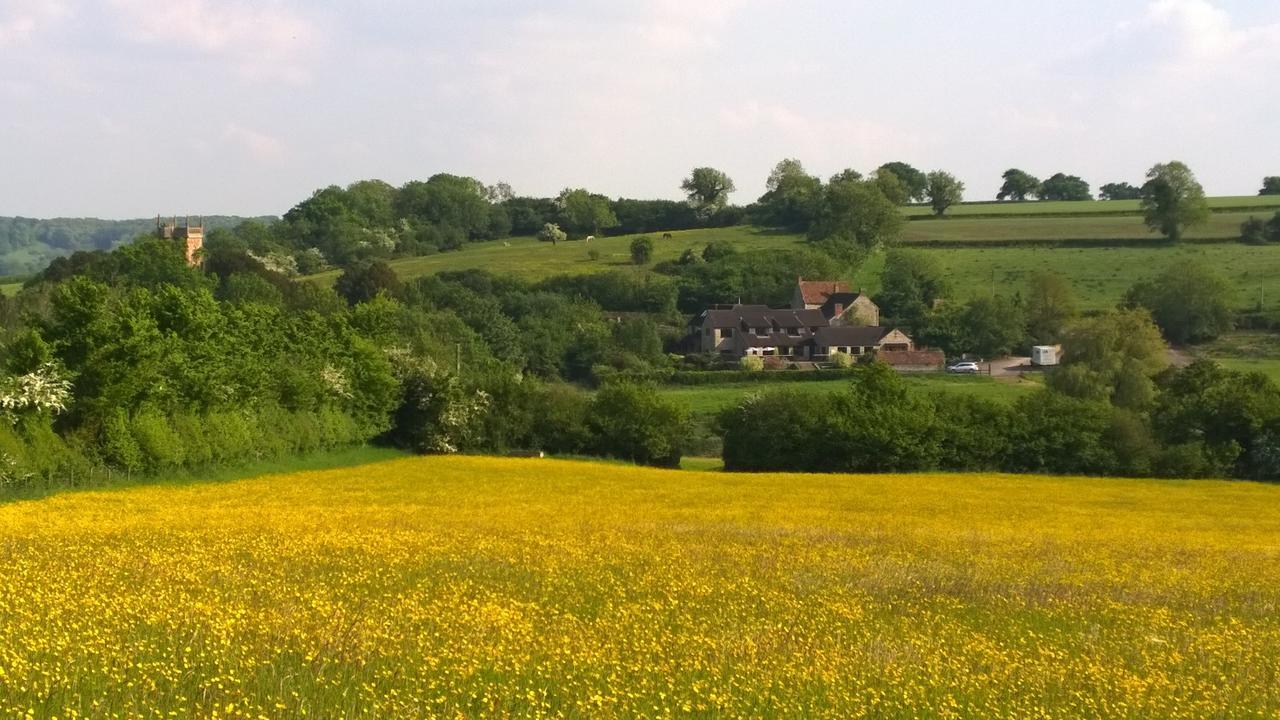 Cameley Lodge - Self Catering Temple Cloud ภายนอก รูปภาพ